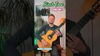 Birch Tree (Study no.1) by Dimitri Lavrentiev #guitarmusic #etude #Birke #березка #этюд