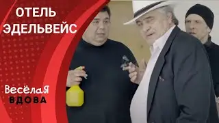 Отель Эдельвейс