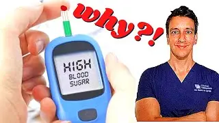 What causes diabetes? | ft. Prof. Roy Taylor