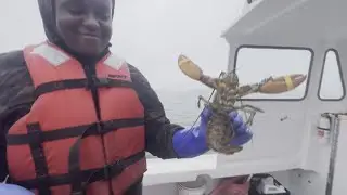 Lobstering apprentice program helps Maine teens learn the trade