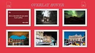 How To Create Image Overlay Hover Effect Using HTML And CSS || Before & After || Hover Animation