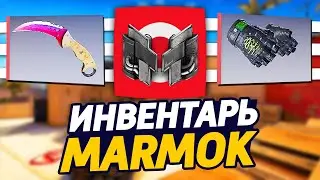 СКОЛЬКО СТОИТ ИНВЕНТАРЬ MARMOK В CS:GO - ЛЕГЕНДАРНЫЙ ИНВЕНТАРЬ МАРМОКА С РЕДКИМИ СКИНАМИ В КС ГО