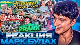 МЕЛЛШЕР СМОТРИТ: ТАПАЮ ХОМЯЧКА! СЖЕГ КРОССОВКИ! ОТПРАВИЛ ПАЛКУ В ТАКСИ! ВЫХВАТИЛ ПО ЛИЦУ ОТ БЫДЛА!