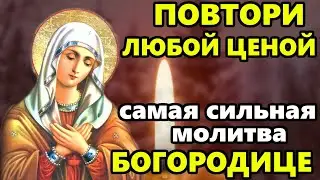 Любой ценой повтори 1 раз молитву! Сильная Молитва Богородице в праздник! Православие