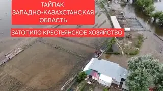 Затопило крестьянское хозяйство