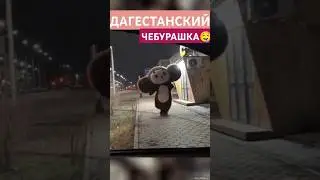 Дагестанский ЧЕБУРАШКА лучше Disney Диснея Jazzdauren Первая любовь