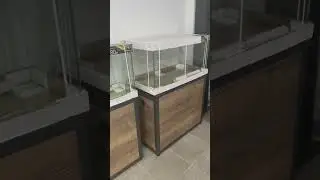 Аквариумная студия❤️‍🔥 #аквариум #машаблюм #aquarium #аквариумистика #aquascape #mashabloom #aqua
