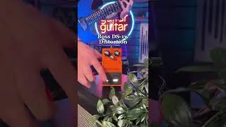 Overdrive vs Distortion | Boss DS-1 & SD-1 Comparison