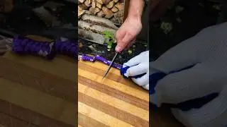 ПОБЕДИТЕЛЬ ВЫСТАВКИ КЛИНОК МОДЕЛЬ 