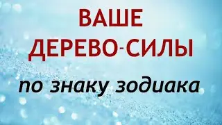 Ваше ДЕРЕВО-СИЛЫ по знаку Зодиака.