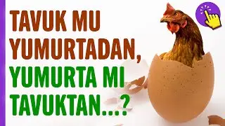 Tavuk-Yumurta Probleminin Kökeni, Tavuk mu Yumurtadan Yoksa Yumurta mı Tavuktan?