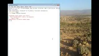 How do I check which version of NumPy I'm using?