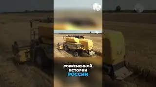 Рекордный экспорт  Российская пшеница в 2021 году