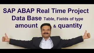 SAP ABAP Project 3, DB table with fields of type Currency & Quantity Fields