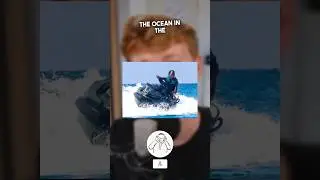 TRAVIS SCOTT LOST HIS PHONE IN THE OCEAN 