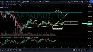 ARPA PRICE PREDICTION TODAY