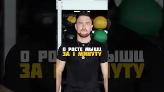 Как накачать мышцы? Все о росте мышц за 1 минуту.