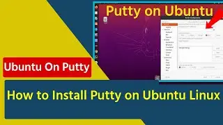 How to Install Putty on Ubuntu Linux