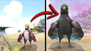 EVOLVING OUR PYGMY ARGY INTO A PRIME | DOX | ARK SURVIVAL EVOLVED EP15
