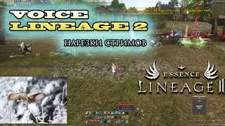 ИННОВА ЗАКРЫЛА ПАРТНЕРКУ ДЛЯ НАЧИНАЮЩИХ СТРИМЕРОВ LINEAGE 2