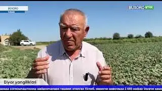 Ўзбекистон Қаҳрамони «Маданият Муҳаммад Исмат» фермер хўжалиги раҳбари Аҳмедовни пахта даласидан