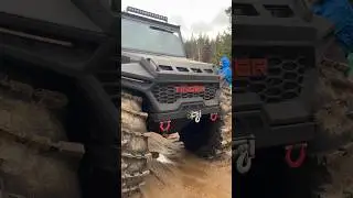 Что лучше новый Тингер  или старый Шерп 