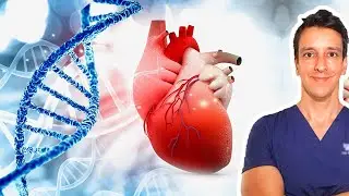 Cholesterol is natural, how can it be bad for us?!?