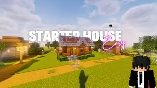 Building the Most BASIC Starter House in Minecraft! 🏠🔥