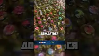 😎 НА ЗИМУ ТОЧНО ХВАТИТ