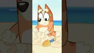 Bingo & Bluey Beach Set Make🏖️ 🪭 | Bluey  #ytshorts