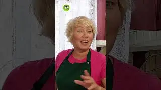 Помидоры на зиму с перцем!Вкусно,ярко!#ухтыкухня #вкусноибыстро #рецепты #заготовкиназиму #помидоры