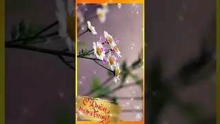 Пусть исполняются мечты 🎉 Короткие Поздравления  С Днем Рождения  