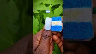 Arte en Uñas con los Colores de la Bandera de Argentina 🇦🇷 | Tutorial Rápido y Fácil #youtubechamps