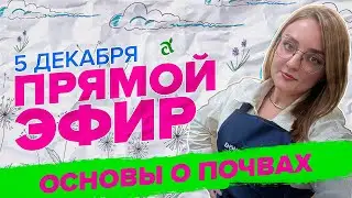 ПРЯМАЯ ТРАНСЛЯЦИЯ. 06.12.23