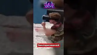 Очки виртуальной реальности 