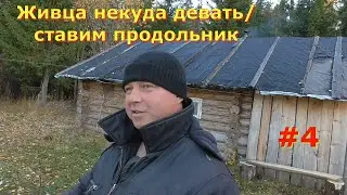 Рыбалка на озере/живца некуда девать/ставим продольник/4 часть