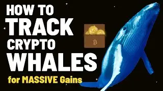 How to Track Crypto Whales Wallet for Massive Gains 🐋