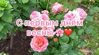 С ПЕРВЫМ ДНЁМ ВЕСНЫ!!! Ещё немного и мы снова окунёмся в атмосферу наших любимых садов и цветов!🌸❤️