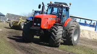 Massey Ferguson 6499, 7495, 7499, 8250, 8260, 8270, 8460, 8480 & 8737 Pulling at The Arena | DK Pull