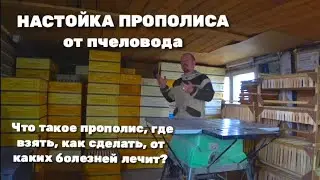 НАСТОЙКА ПРОПОЛИСА ОТ ПЧЕЛОВОДА Что такое прополис, где взять, как сделать, от каких болезней лечит?