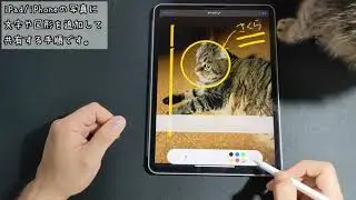 iOS：iPad/iPhoneの写真に標準機能で手書き文字や図形を追加する手順