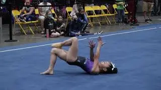 Maylee Chen Floor 9.675 SoCal State Team Region 1 Championships Wildfire Gymnast Level 7