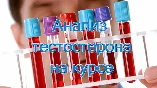 Анализ тестостерона на курсе