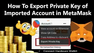 How To Export Private Key of Imported Account in MetaMask Wallet | Export private key