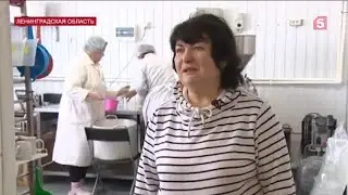 Наша ЭкоФерма в сюжете 5 канала