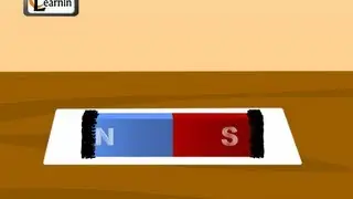 Poles of a bar magnet - Elementary Science