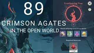 89 Crimson Agates in the Open World | Genshin Impact