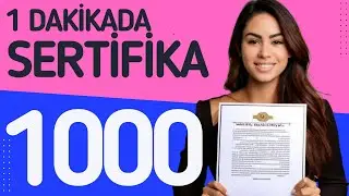 Canva’da 1 Dakikada 1000 Sertifika Oluşturmanın Sırrı!