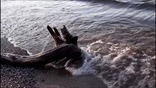 Beautiful Lake Erie : Nature Sounds