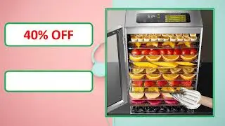 Top 5 Best Food Dehydrator Machine Review In 2023